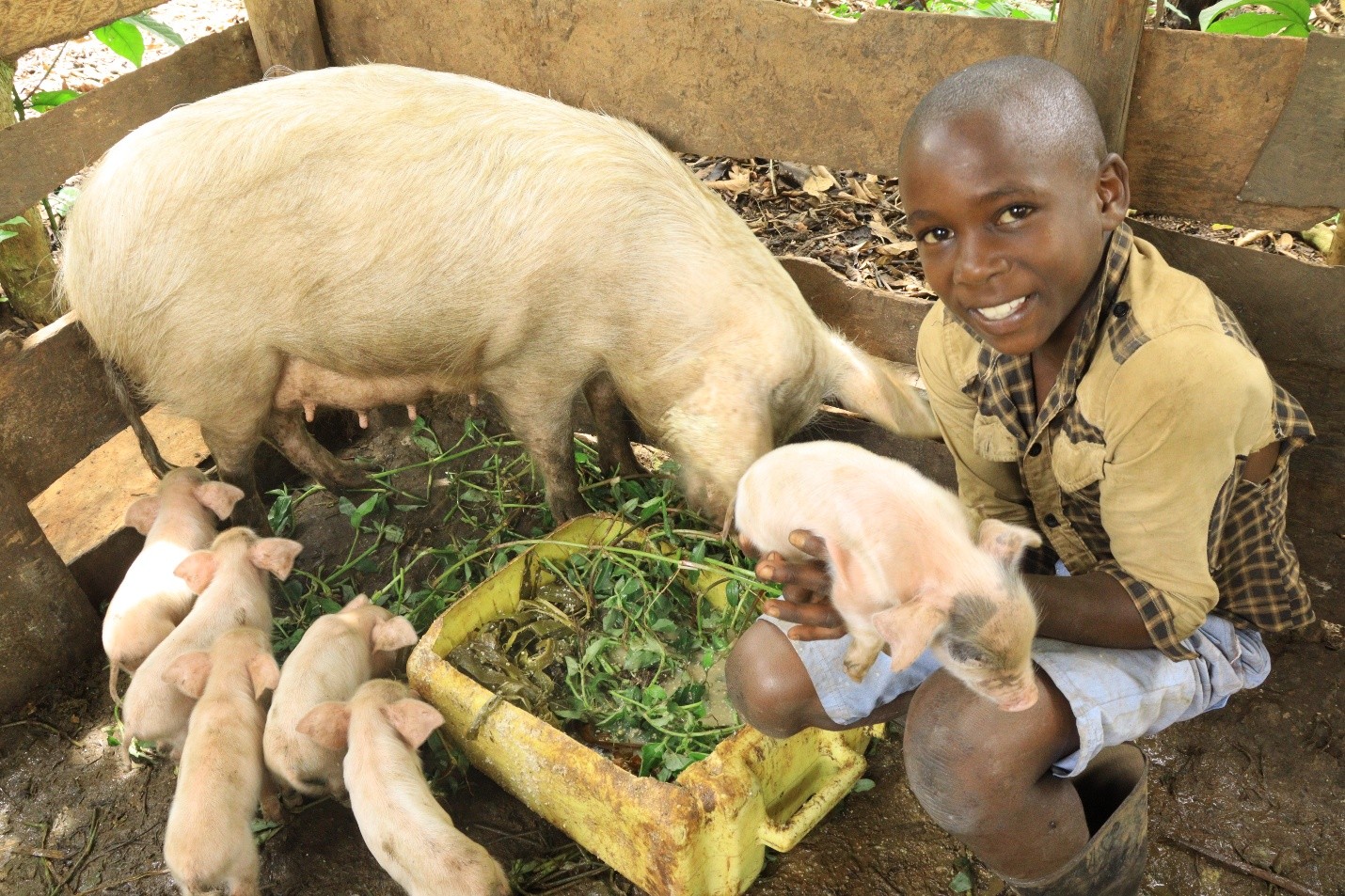 Mubiru Delvis family activities — Caritas Mityana