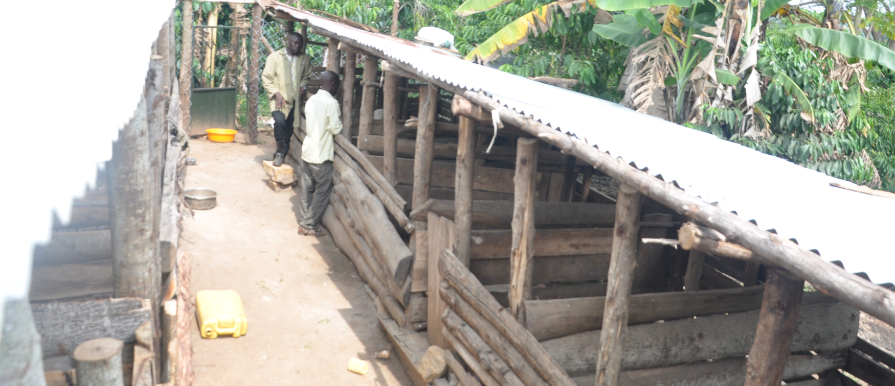 Slider - 5 Slider - 5