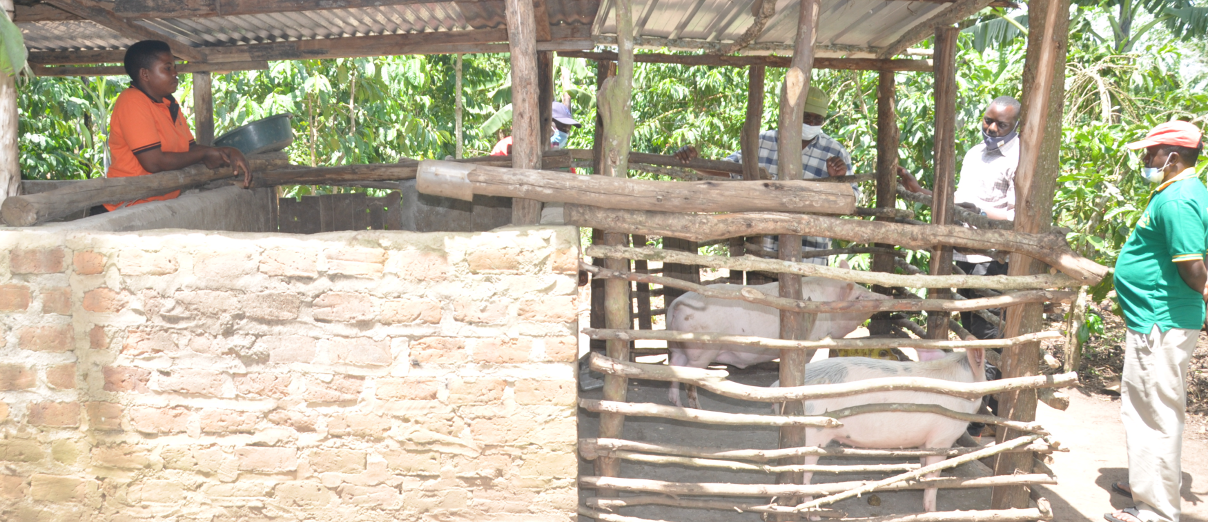 Slider - 8 Slider - 8